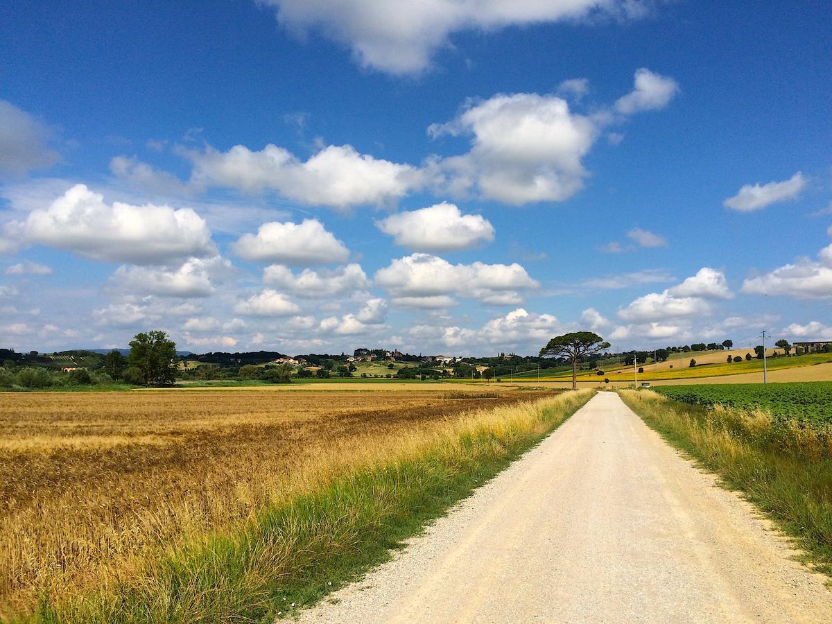 Agriturismo Poggio Antico Binami Екстер'єр фото